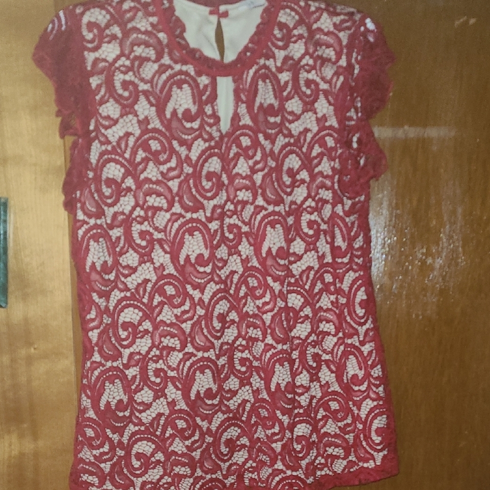 Pink Lace Embellished Blouse